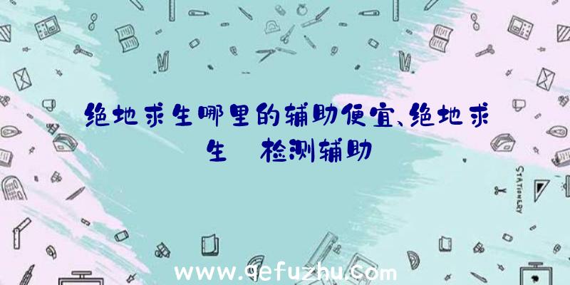 绝地求生哪里的辅助便宜、绝地求生