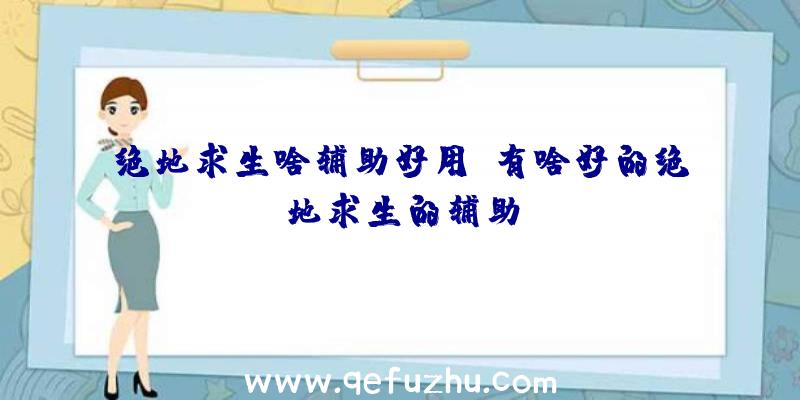 绝地求生啥辅助好用、有啥好的绝地求生的辅助