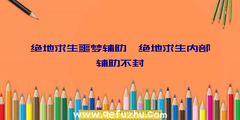 绝地求生噩梦辅助、绝地求生内部辅助不封