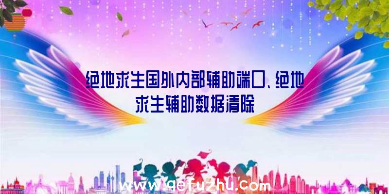 绝地求生国外内部辅助端口、绝地求生辅助数据清除