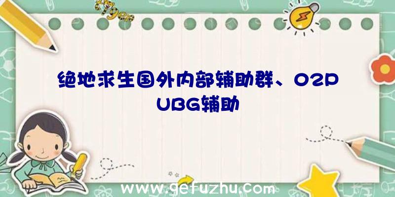 绝地求生国外内部辅助群、02PUBG辅助