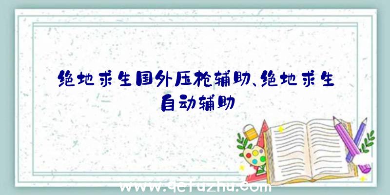 绝地求生国外压枪辅助、绝地求生自动辅助