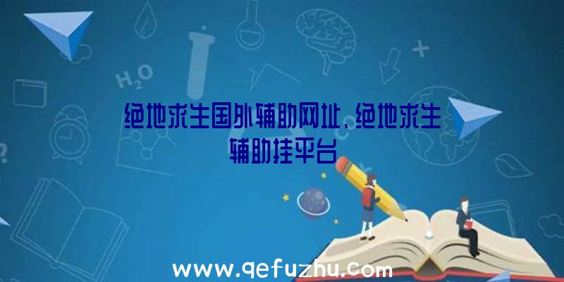 绝地求生国外辅助网址、绝地求生辅助挂平台