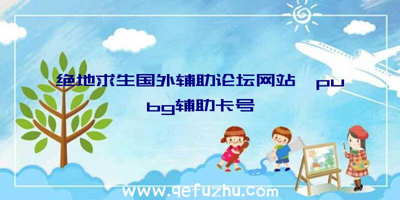 绝地求生国外辅助论坛网站、pubg辅助卡号