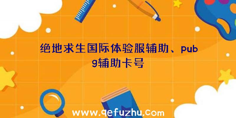 绝地求生国际体验服辅助、pubg辅助卡号