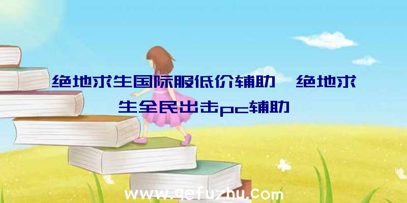 绝地求生国际服低价辅助、绝地求生全民出击pc辅助