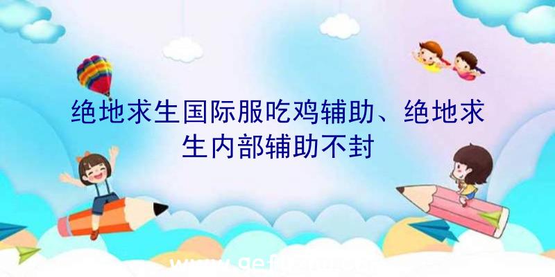 绝地求生国际服吃鸡辅助、绝地求生内部辅助不封