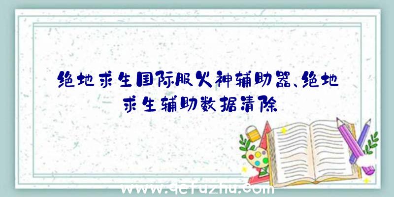 绝地求生国际服火神辅助器、绝地求生辅助数据清除