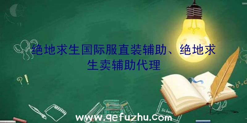 绝地求生国际服直装辅助、绝地求生卖辅助代理