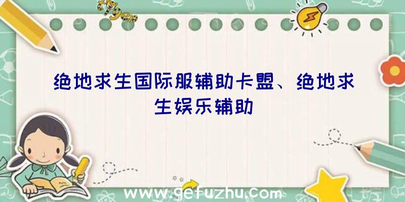 绝地求生国际服辅助卡盟、绝地求生娱乐辅助