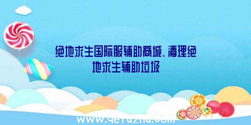 绝地求生国际服辅助商城、清理绝地求生辅助垃圾