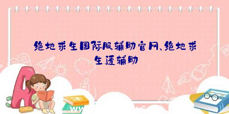 绝地求生国际服辅助官网、绝地求生透辅助