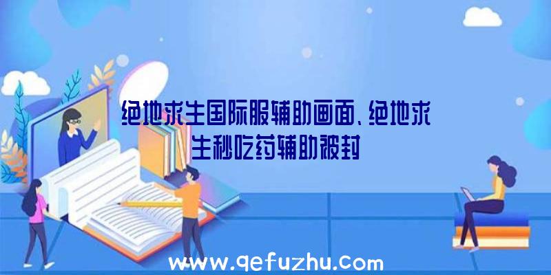 绝地求生国际服辅助画面、绝地求生秒吃药辅助被封