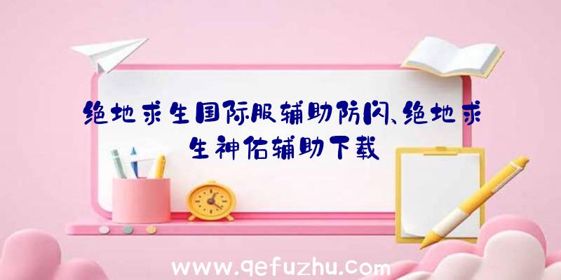 绝地求生国际服辅助防闪、绝地求生神佑辅助下载