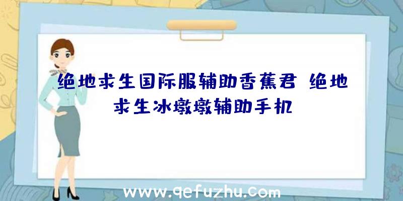 绝地求生国际服辅助香蕉君、绝地求生冰墩墩辅助手机