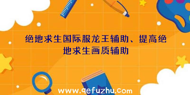 绝地求生国际服龙王辅助、提高绝地求生画质辅助