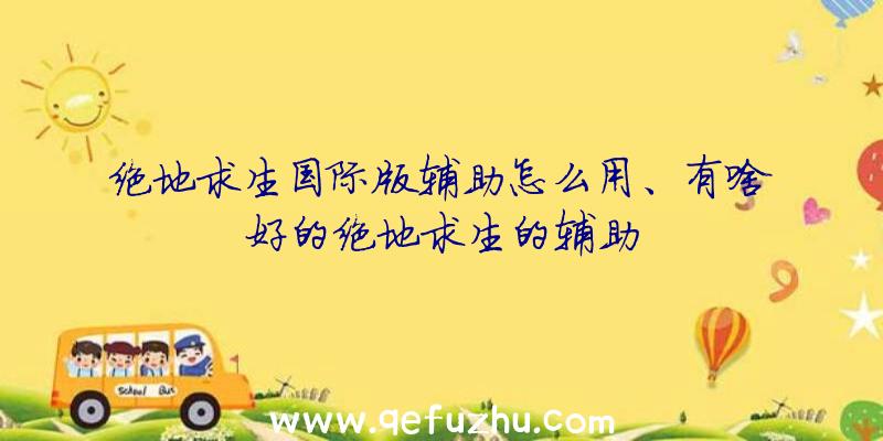 绝地求生国际版辅助怎么用、有啥好的绝地求生的辅助