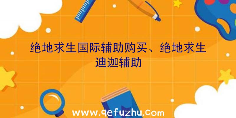 绝地求生国际辅助购买、绝地求生迪迦辅助