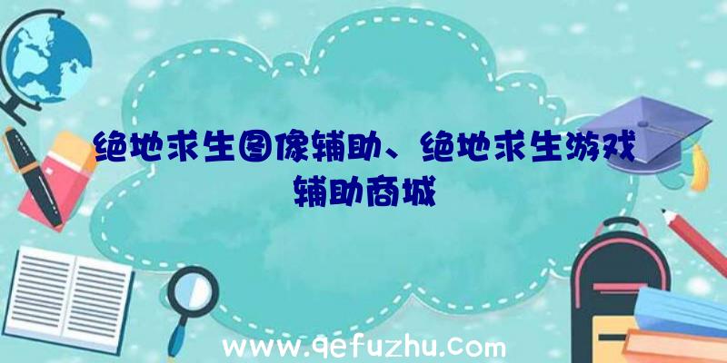 绝地求生图像辅助、绝地求生游戏辅助商城