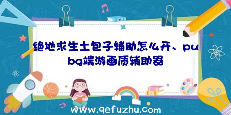 绝地求生土包子辅助怎么开、pubg端游画质辅助器