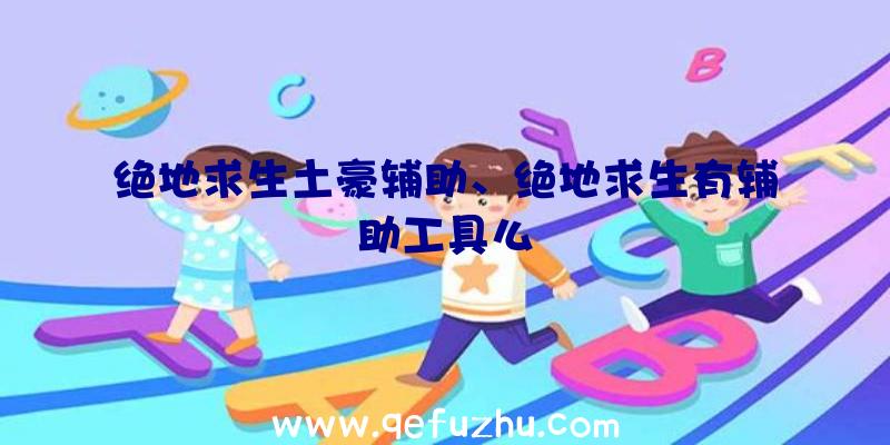 绝地求生土豪辅助、绝地求生有辅助工具么