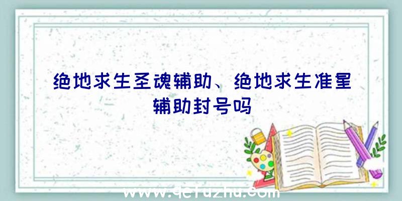 绝地求生圣魂辅助、绝地求生准星辅助封号吗