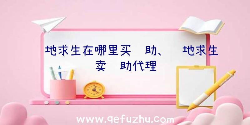 绝地求生在哪里买辅助、绝地求生卖辅助代理