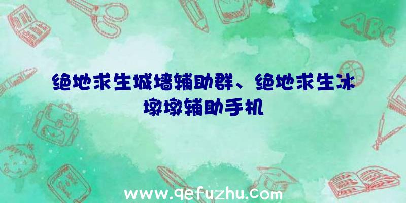 绝地求生城墙辅助群、绝地求生冰墩墩辅助手机