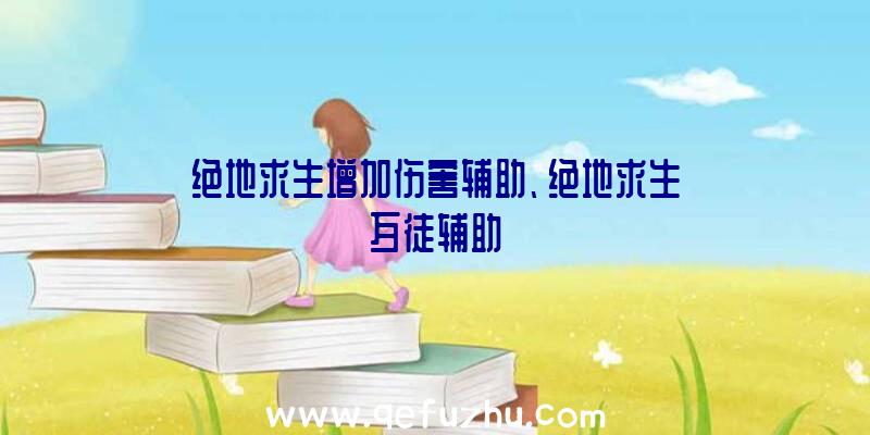 绝地求生增加伤害辅助、绝地求生歹徒辅助