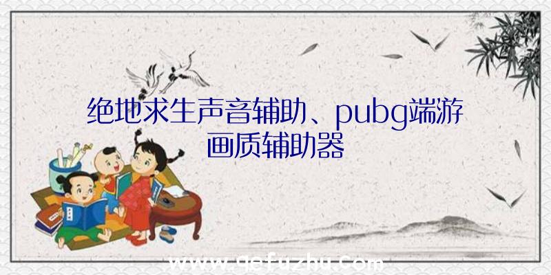 绝地求生声音辅助、pubg端游画质辅助器