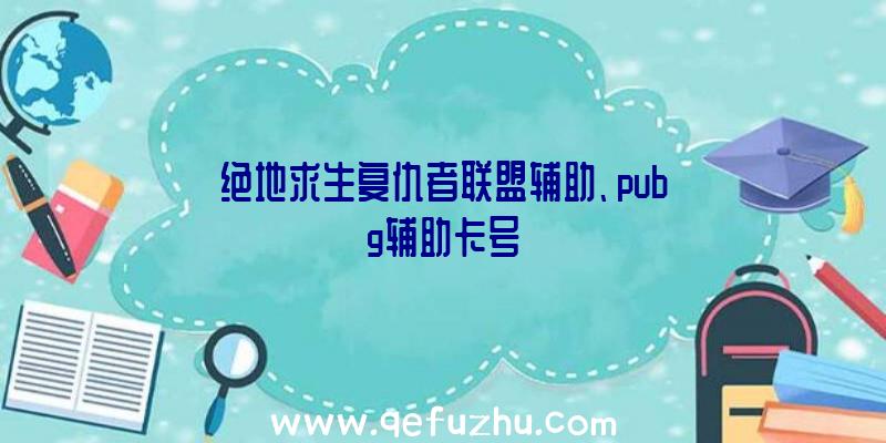 绝地求生复仇者联盟辅助、pubg辅助卡号