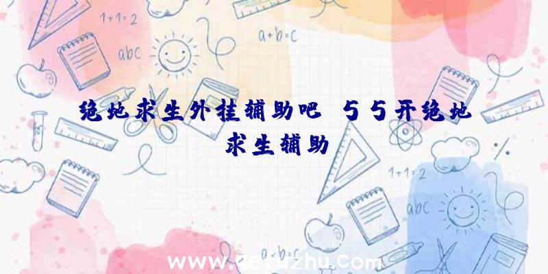 绝地求生外挂辅助吧、55开绝地求生辅助