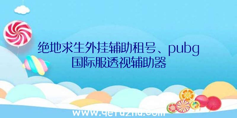 绝地求生外挂辅助租号、pubg国际服透视辅助器