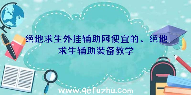 绝地求生外挂辅助网便宜的、绝地求生辅助装备教学