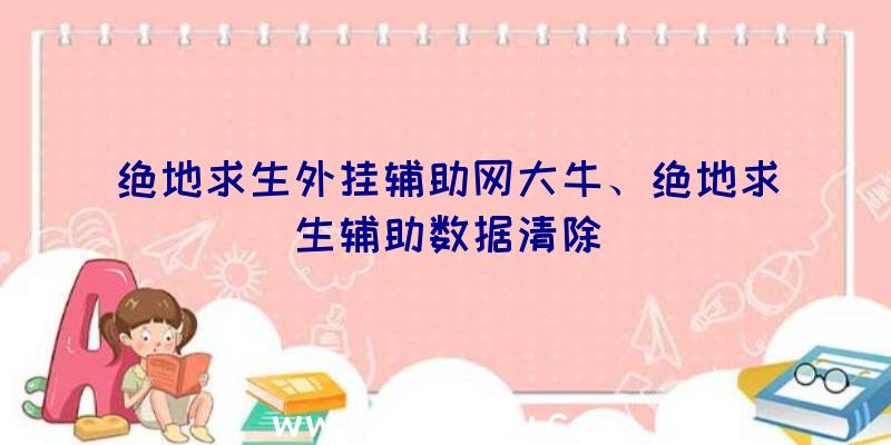 绝地求生外挂辅助网大牛、绝地求生辅助数据清除