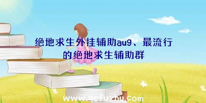 绝地求生外挂辅助aug、最流行的绝地求生辅助群