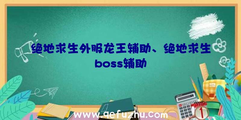 绝地求生外服龙王辅助、绝地求生boss辅助