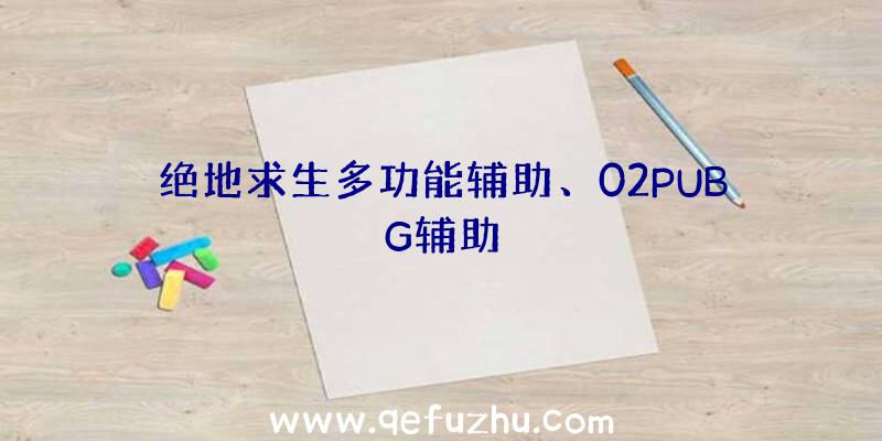 绝地求生多功能辅助、02PUBG辅助