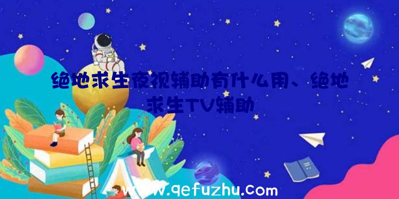 绝地求生夜视辅助有什么用、绝地求生TV辅助