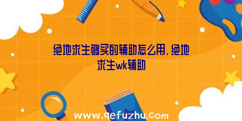 绝地求生够买的辅助怎么用、绝地求生wk辅助