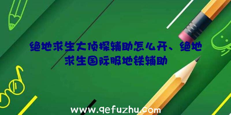 绝地求生大侦探辅助怎么开、绝地求生国际服地铁辅助