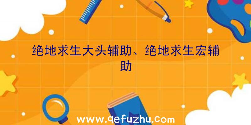 绝地求生大头辅助、绝地求生宏辅助