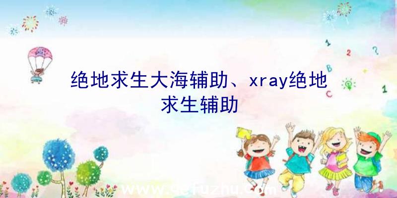 绝地求生大海辅助、xray绝地求生辅助