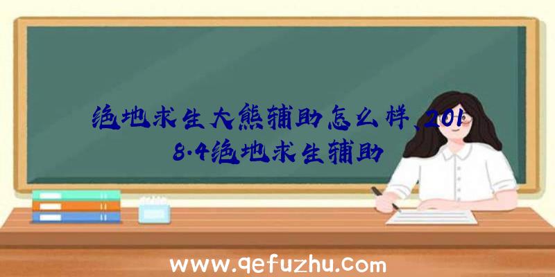 绝地求生大熊辅助怎么样、2018.4绝地求生辅助