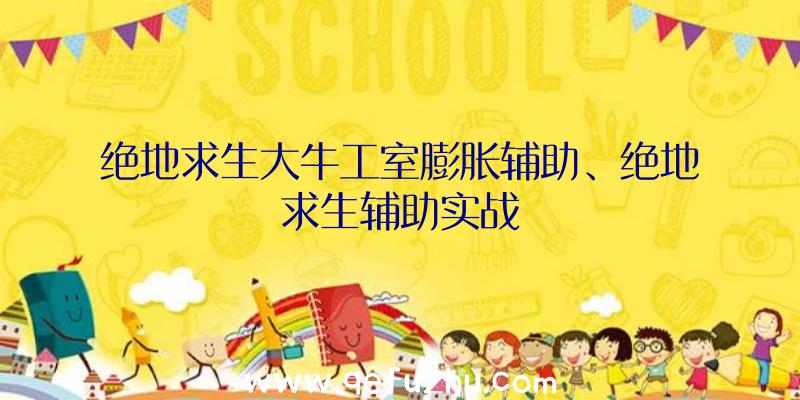 绝地求生大牛工室膨胀辅助、绝地求生辅助实战