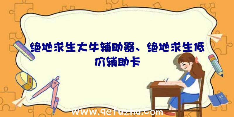 绝地求生大牛辅助器、绝地求生低价辅助卡