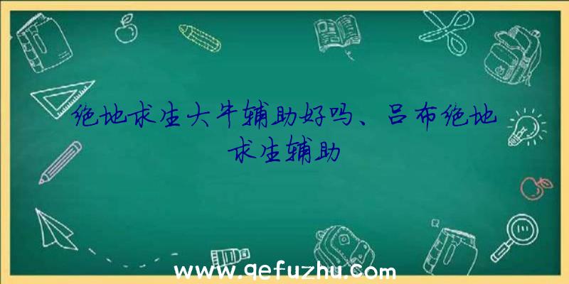 绝地求生大牛辅助好吗、吕布绝地求生辅助