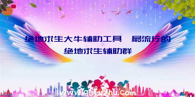 绝地求生大牛辅助工具、最流行的绝地求生辅助群