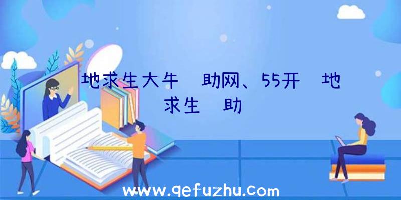 绝地求生大牛辅助网、55开绝地求生辅助