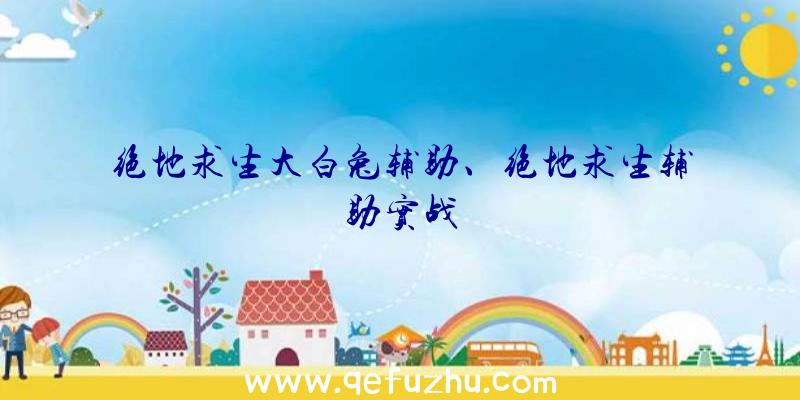 绝地求生大白兔辅助、绝地求生辅助实战